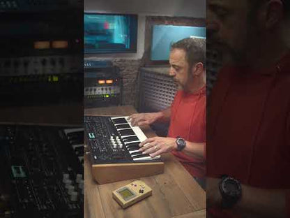 Orchestra Essentials Vol.1 - 60+ Sounds for Korg WaveState
